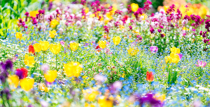 ファシリテーター紹介